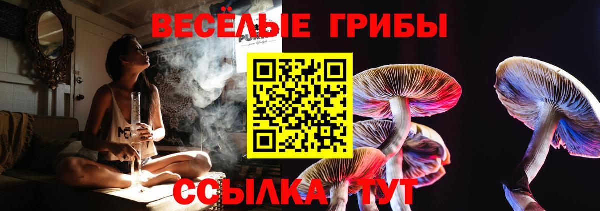Лабинск  Галлюциногенные грибы мицелий  Вход с VPN 